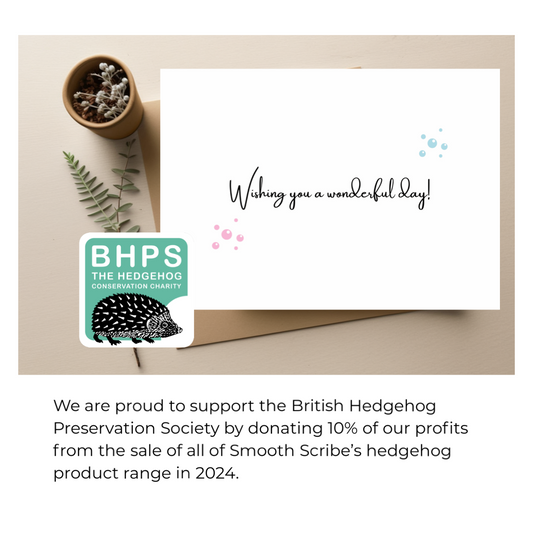 Hedgehog Sustainable Birthday card (supporting BHPS)