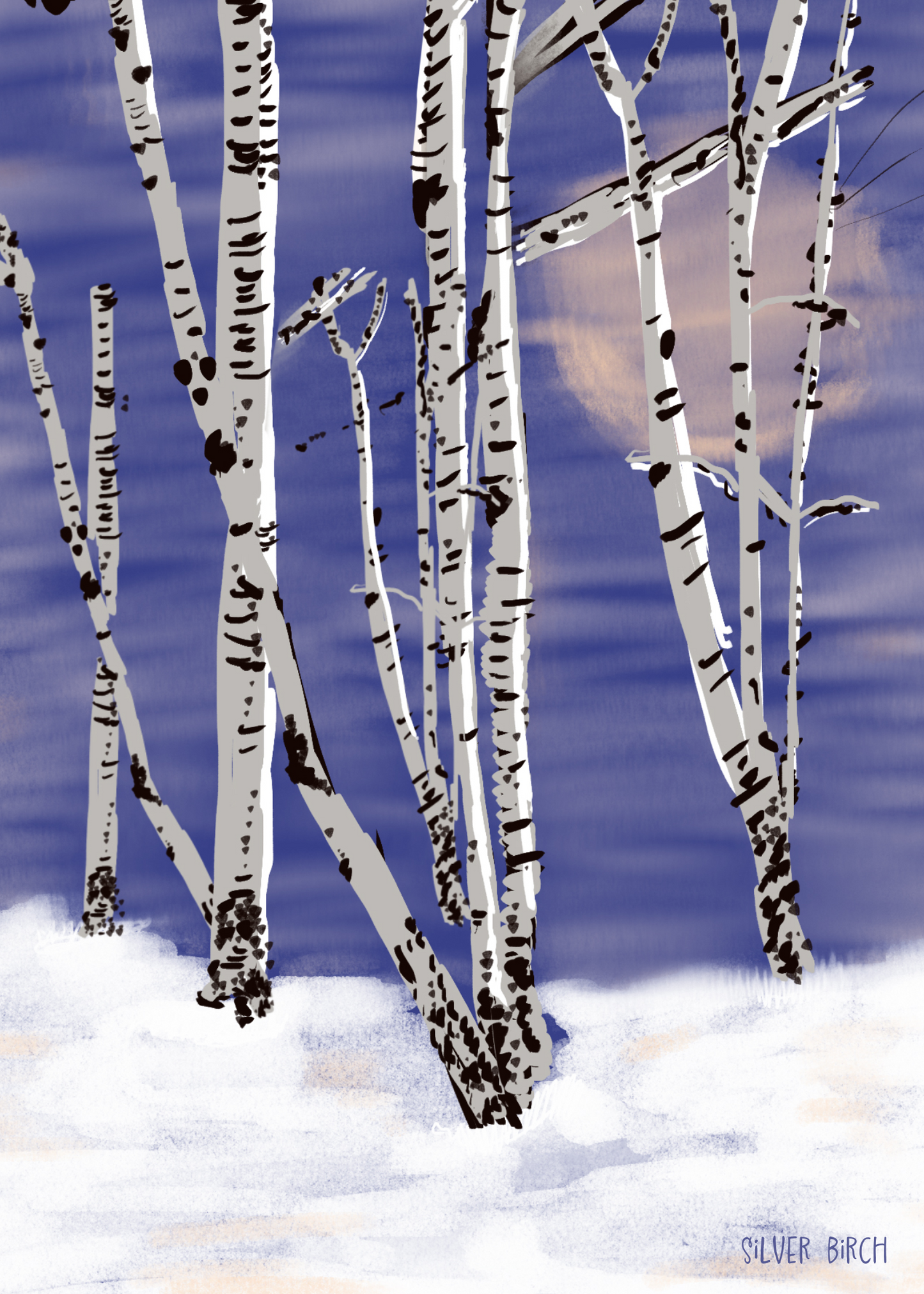 Silver Birch | Celtic Tree Fine Art Print