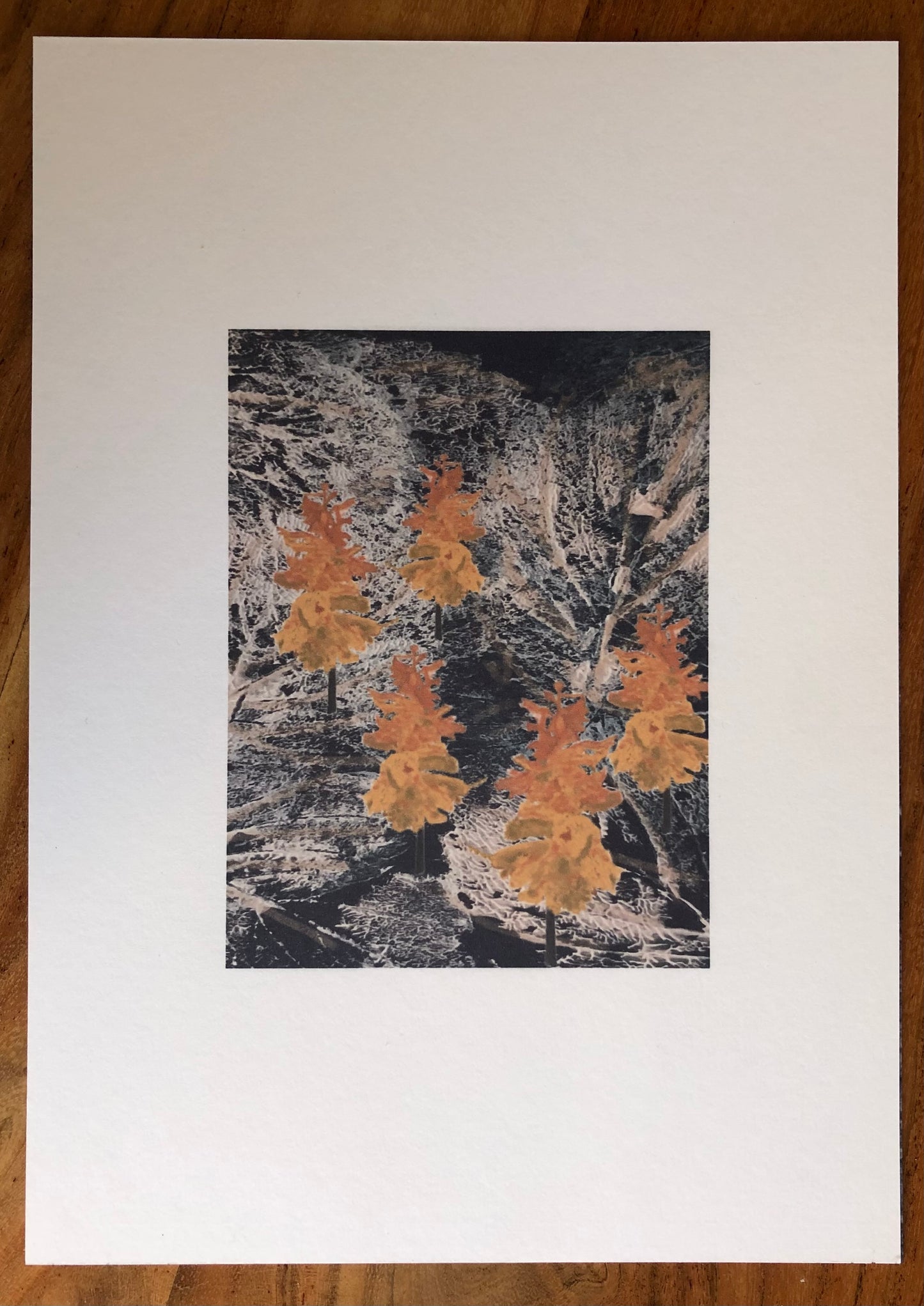 Fine Art Print: Wild autumnal wood