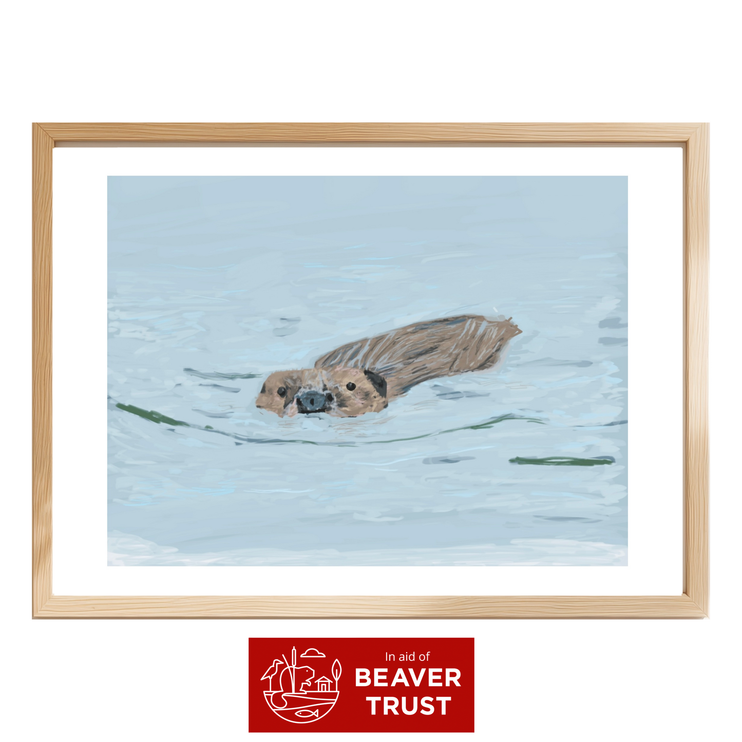 Beaver swimming fine art print (supporting Beaver Trust)