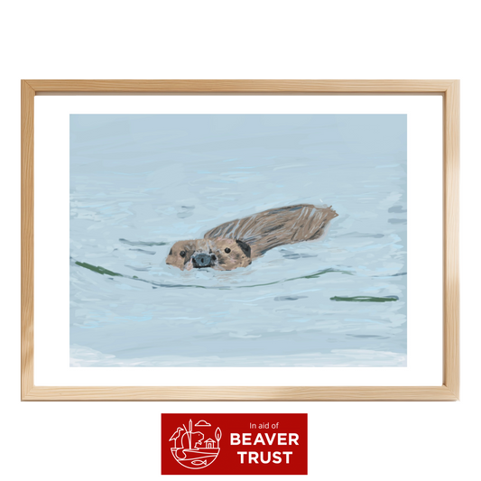 Beaver Swimming Fine Art Print | Supporting Beaver Trust | Eco-Friendly Wall Art