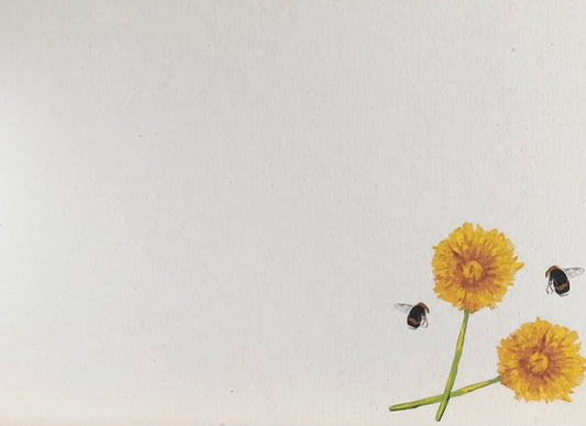 Hand-Drawn Dandelion Note Cards