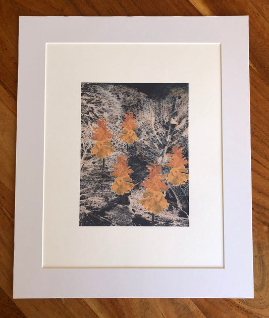 Fine Art Print: Wild autumnal wood