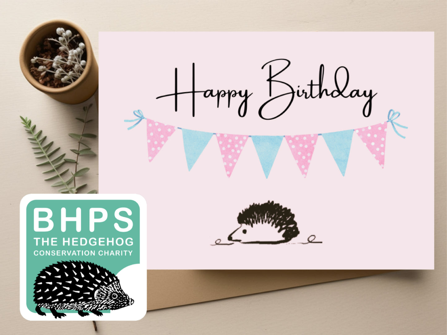 Hedgehog Sustainable Birthday card (supporting BHPS)