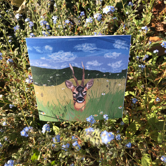 British Roe Dear Greeting Card