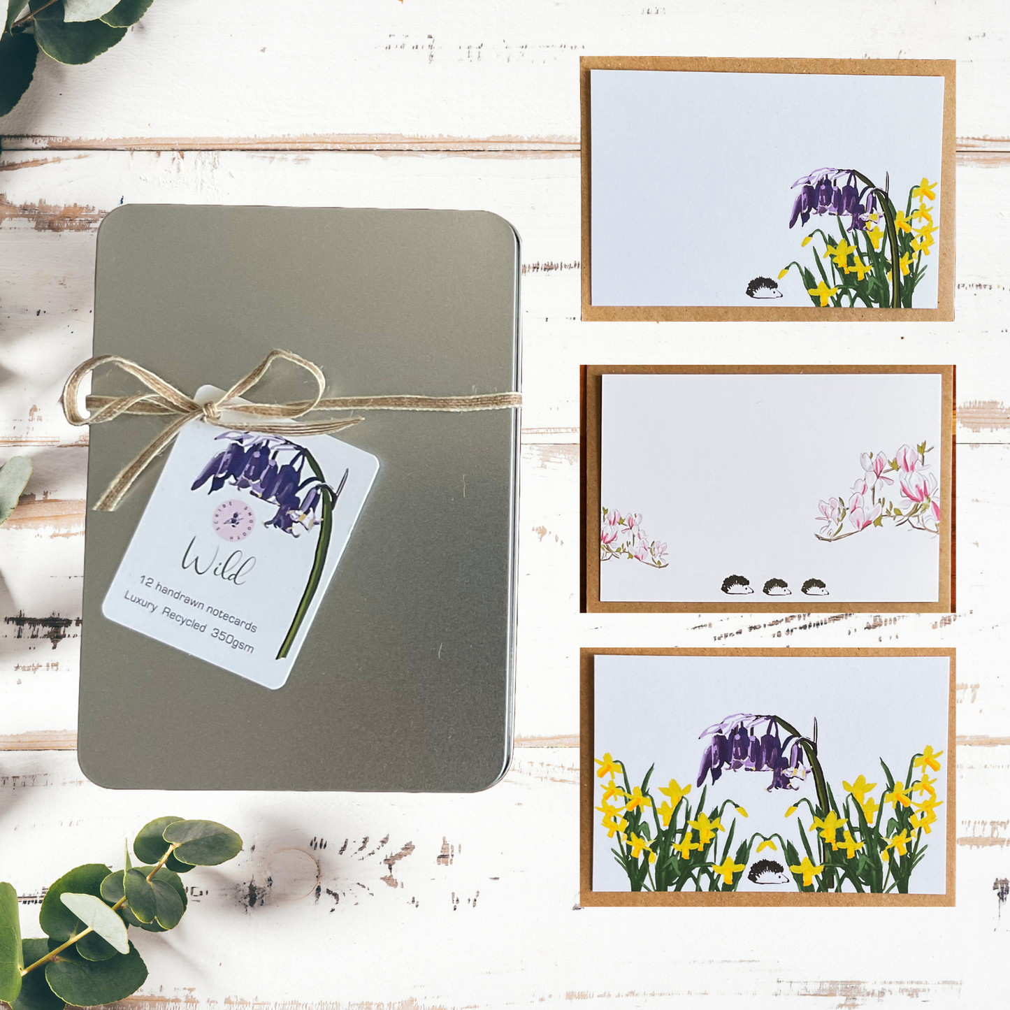 Hand-drawn wild notecards collection displayed in natural light on wooden surface, showing 350gsm recycled cardstock quality