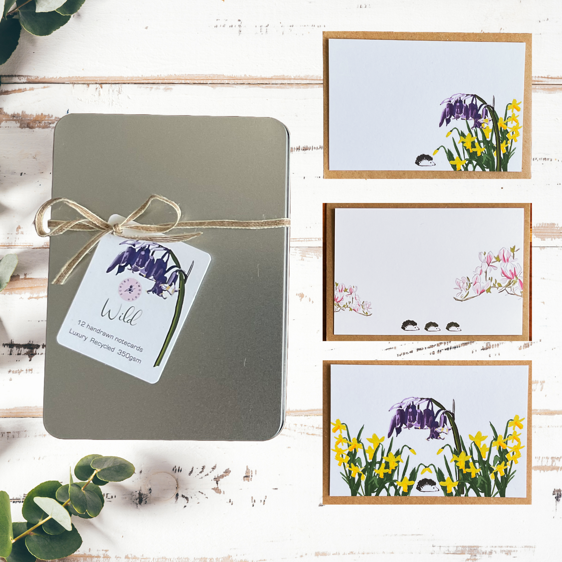 Hand-drawn wild notecards collection displayed in natural light on wooden surface, showing 350gsm recycled cardstock quality