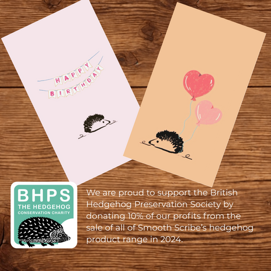 Hedgehog Sustainable Gift Tags (supporting BHPS)