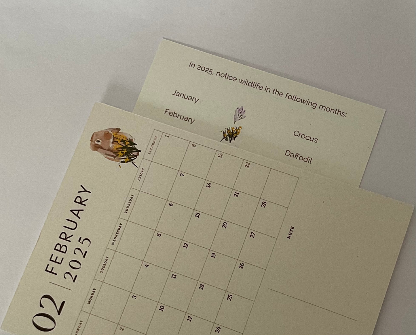 Beautiful hand drawn 2025 nature desk calendar