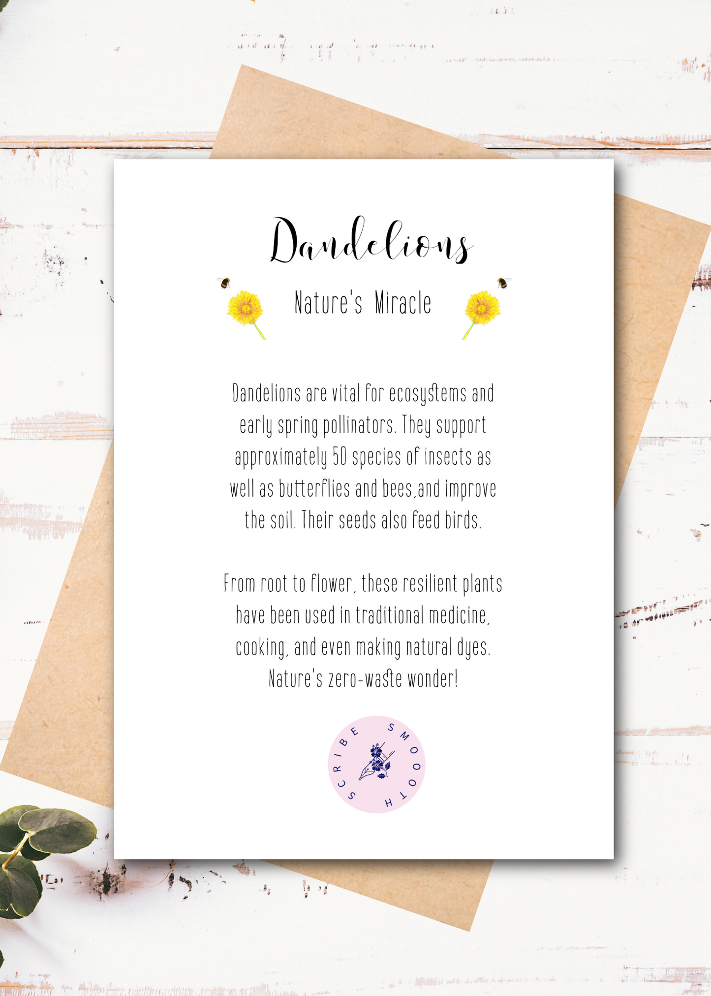 The Sun, the Moon & the Stars|
Sustainable Botanical Greeting Card (5" x 7")