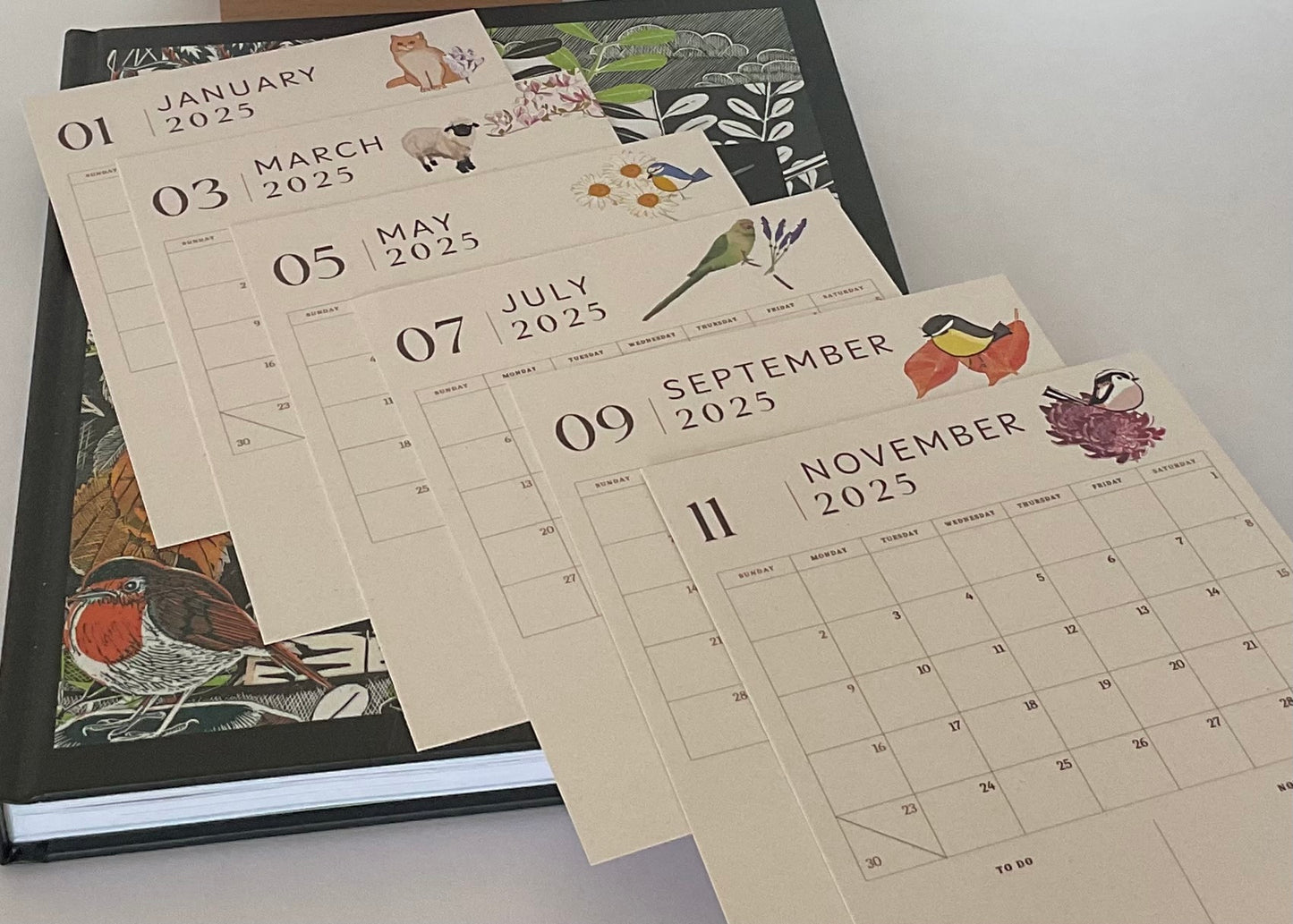 Beautiful hand drawn 2025 nature desk calendar