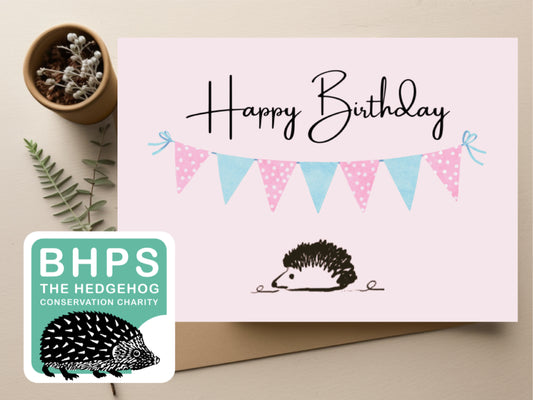 Hedgehog Sustainable Birthday card (supporting BHPS)