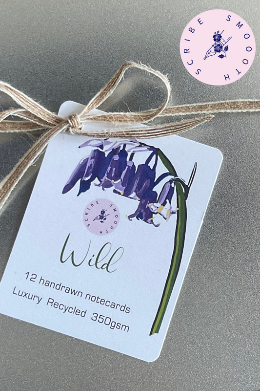 Wild notecards writing metal food safe box showing plastic-free, packaging with a recycled label attached to a jute bowed ribbon.


