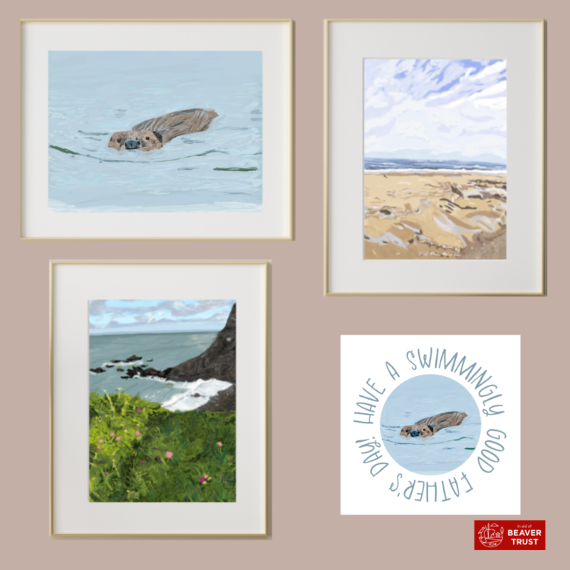 three prints (1) a beaver swimming (2) Cornish coast, (3) Cornish Beach and a square beaver swimming card