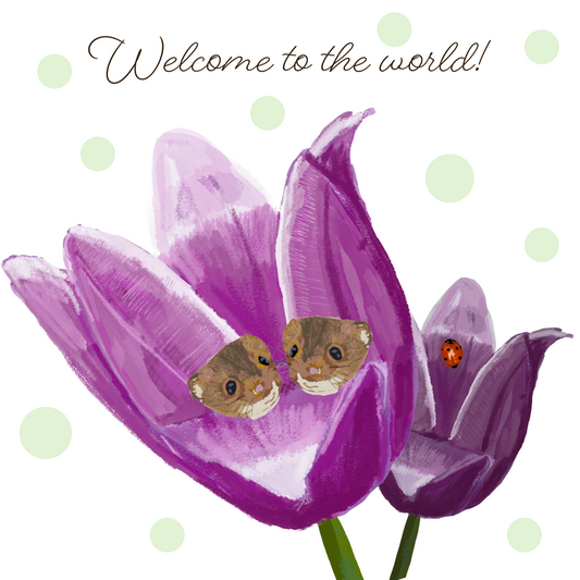 New baby card